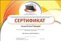 Сертификат участника сетевого профессионального педагогического сообщества "NETFOLIO", 2016г. Сертификат участника сетевого профессионального педагогического сообщества "NETFOLIO", 2016г.